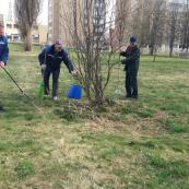 Наши работники на субботнике!