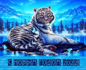 Дорогие друзья !!!!